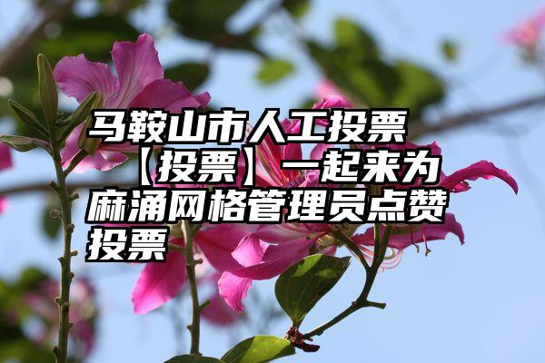 马鞍山市人工投票   【投票】一起来为麻涌网格管理员点赞投票