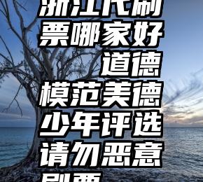 浙江代刷票哪家好   道德模范美德少年评选请勿恶意刷票