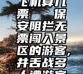 微信投票飞机算几票   保安阻拦无票闯入景区的游客,并舌战多人遭游客说