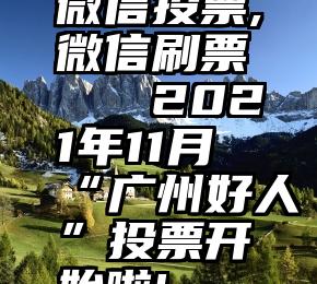 微信投票,微信刷票   2021年11月“广州好人”投票开始啦!