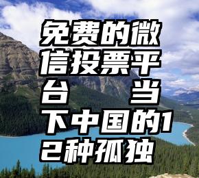 免费的微信投票平台   当下中国的12种孤独