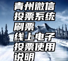 青州微信投票系统刷票   线上电子投票使用说明