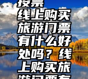 微信群的小程序快投票   线上购买旅游门票有什么好处吗？线上购买旅游门票有什么好处吗？