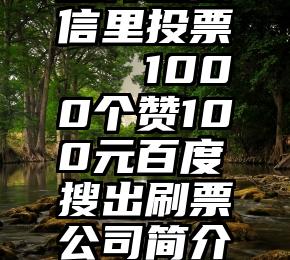 怎样在微信里投票   1000个赞100元百度搜出刷票公司简介造假揽客