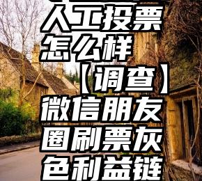 专业微信人工投票怎么样   【调查】微信朋友圈刷票灰色利益链调查