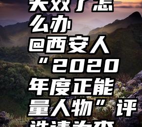 微信投票失效了怎么办   @西安人“2020年度正能量人物”评选请为李国武投票!