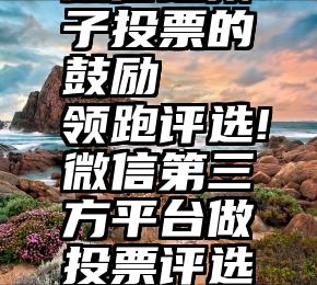 微信给孩子投票的鼓励   领跑评选!微信第三方平台做投票评选的好处