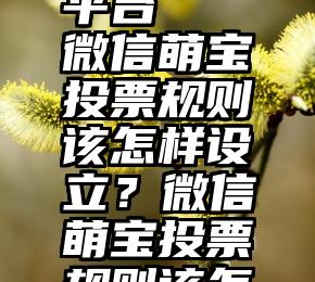 投票刷单平台   微信萌宝投票规则该怎样设立？微信萌宝投票规则该怎样设立？