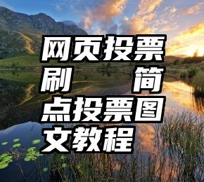 网页投票刷   简点投票图文教程