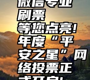 微信专业刷票   等您点亮!年度“平安之星”网络投票正式开启!