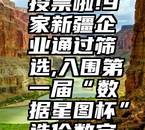 怎样在微信让别人投票   投票啦!9家新疆企业通过筛选,入围第一届“数据星图杯”造价数字化优秀案例网络投票活动