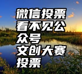 微信投票看不见公众号   文创大赛投票