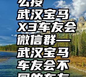 微信帮朋友投票怎么投   武汉宝马X3车友会微信群—武汉宝马车友会不同的车友,相同的选择