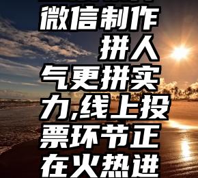 投票软件微信制作   拼人气更拼实力,线上投票环节正在火热进行中!