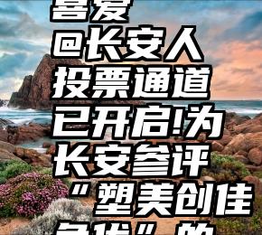 微信投票消费者最喜爱   @长安人投票通道已开启!为长安参评“塑美创佳争优”的个人(集体)投票吧!