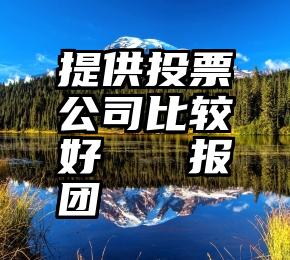 提供投票公司比较好   报团