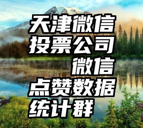 天津微信投票公司   微信点赞数据统计群