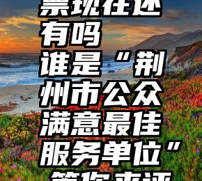 微信的投票现在还有吗   谁是“荆州市公众满意最佳服务单位”,等你来评选!