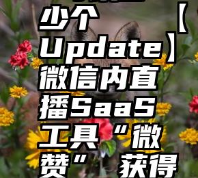 微信投票 可以多少个   【Update】微信内直播SaaS工具“微赞”​获得IDG千万元Pre