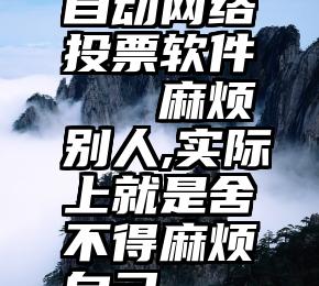 自动网络投票软件   麻烦别人,实际上就是舍不得麻烦自己