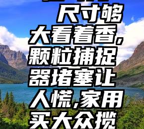 专业刷票 抽耳光   尺寸够大看着香,颗粒捕捉器堵塞让人慌,家用买大众揽境或途昂真的...