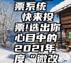 梁山微信投票 刷票系统   快来投票!选出你心目中的2021年度“微改革”优秀案例