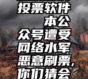 朋友圈的投票软件   本公众号遭受网络水军恶意刷票,你们猜会是谁