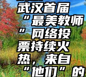 人工拉票刷票   武汉首届“最美教师”网络投票持续火热，来自“他们”的讲述打动人心