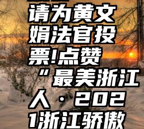 微信护投票群   请为黄文娟法官投票!点赞“最美浙江人·2021浙江骄傲”投票开始!