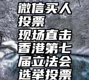 微信买人投票   现场直击香港第七届立法会选举投票