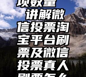 微信公众号投票选项数量   讲解微信投票淘宝平台刷票及微信投票真人刷票怎么找到的方法