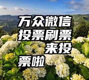 万众微信投票刷票   来投票啦