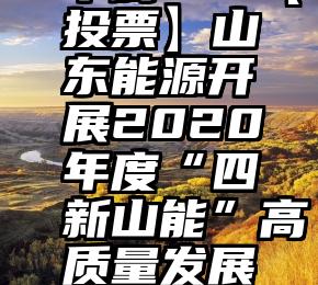 微信公众号投票搜不到   【投票】山东能源开展2020年度“四新山能”高质量发展“十大新闻”评选活动