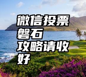 微信投票磐石   攻略请收好