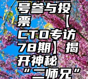 微信公众号参与投票   【CTO专访78期】揭开神秘“二师兄”面纱