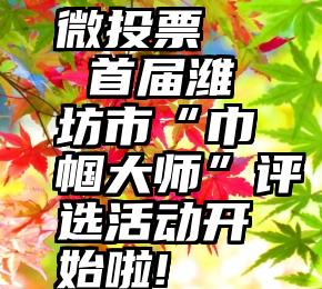 微投票   首届潍坊市“巾帼大师”评选活动开始啦!