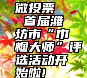 微投票   首届潍坊市“巾帼大师”评选活动开始啦!