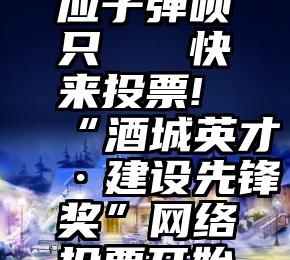 应子弹呗只   快来投票!“酒城英才·建设先锋奖”网络投票开始