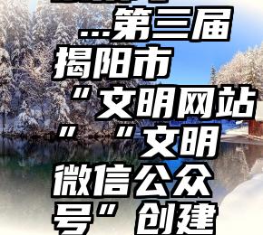 在微信投票技巧   ...第三届揭阳市“文明网站”“文明微信公众号”创建活动网络投票开...