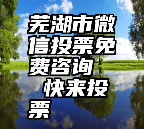 芜湖市微信投票免费咨询   快来投票