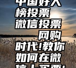 中国好人榜投票 微信投票   网购时代!教你如何在微信上买票!