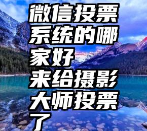 微信投票系统的哪家好   来给摄影大师投票了