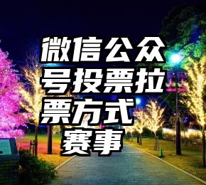 微信公众号投票拉票方式   赛事