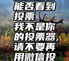 微信后台能否看到投票   我不是你的投票器,请不要再用微信投票绑架我!