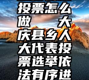 微信公众投票怎么做   大庆县乡人大代表投票选举依法有序进行