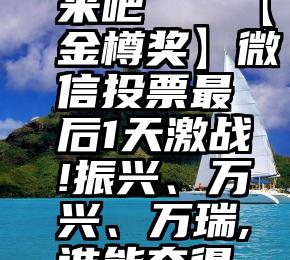 微信投票来吧   【金樽奖】微信投票最后1天激战!振兴、万兴、万瑞,谁能夺得荣誉第一