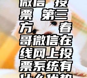 微信 投票 第三方   春哥微信在线网上投票系统有什么优势