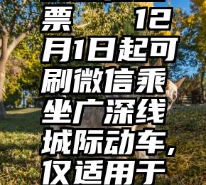 学校适合的微信投票   12月1日起可刷微信乘坐广深线城际动车,仅适用于普通二等座票