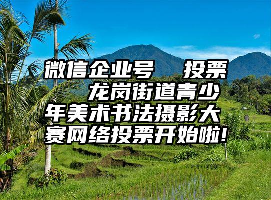 微信企业号  投票   龙岗街道青少年美术书法摄影大赛网络投票开始啦!