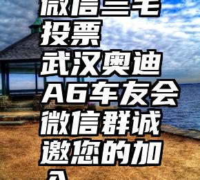 微信三毛投票   武汉奥迪A6车友会微信群诚邀您的加入